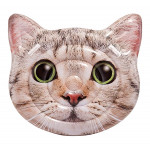 Intex Cat Face Island