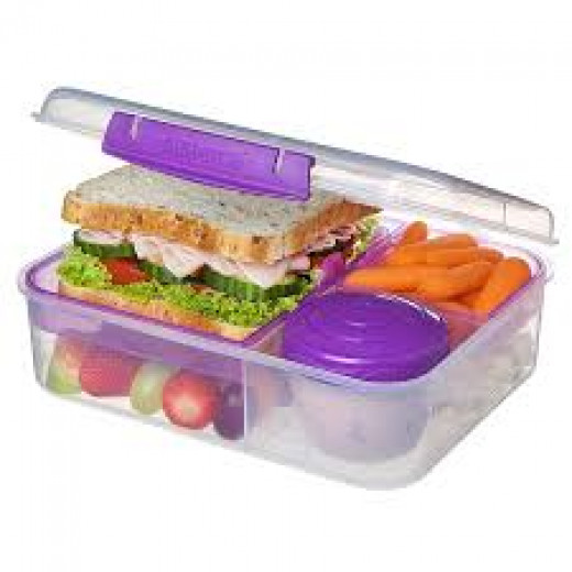 Sistema Bento Lunch TO GO 1.65L, Pink