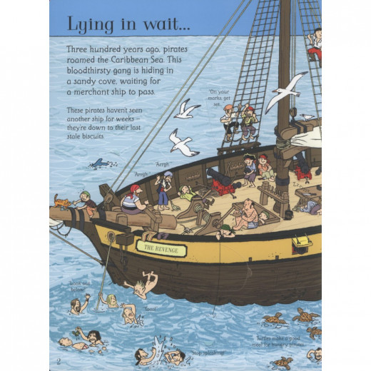 Usborne - Lift-the-Flap - See Inside Pirate Ships