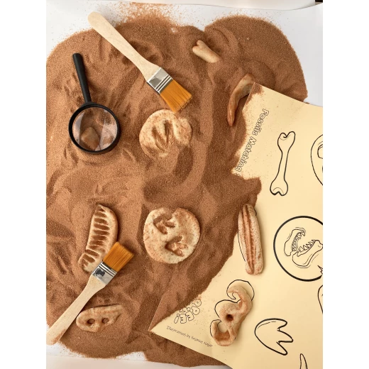 YIPPEE! Sensory Dinosaur Fossil Kit by Rahma