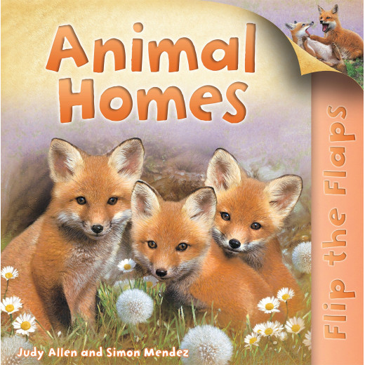 Pan Mac Flip The Flaps: Animal Homes Book