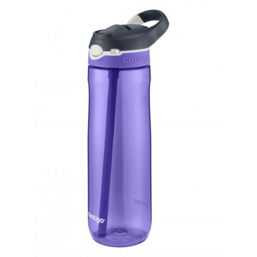 Contigo Autospout Ashland Water Bottle  720 ml, Grapevine