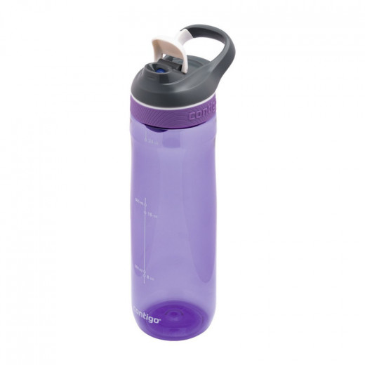 Contigo Autoseal Cortland Water Bottle 720 ml, Grapevine