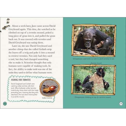 DK  Book: Life Stories Jane Goodall