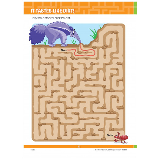 School Zone Book: Big Mazes & More Workbook