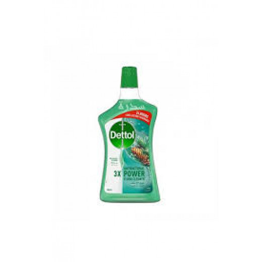 Dettol Powerful Anti-Bacterial Floor Cleaner Pine Scent, 900ml