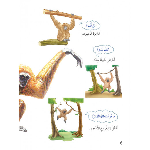 Dar Al Manhal My First Questions And Answers: Monkeys