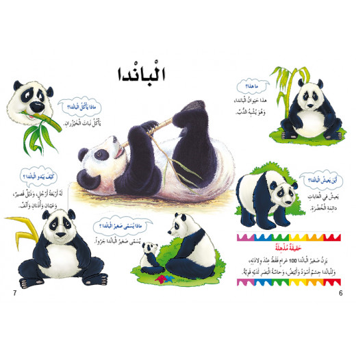 Dar Al Manhal My First Questions And Answers: Wild Animals