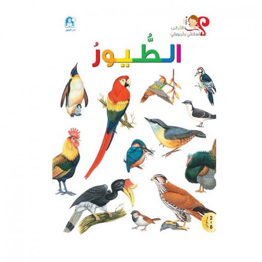 Dar Al Manhal My First Questions And Answers: Birds