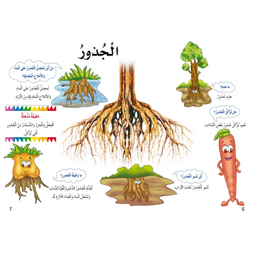 اسئلتي واجوبتي الاولى: النباتات من دار المنهل