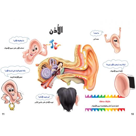 Dar Al Manhal My First Questions And Answers: The Human Body