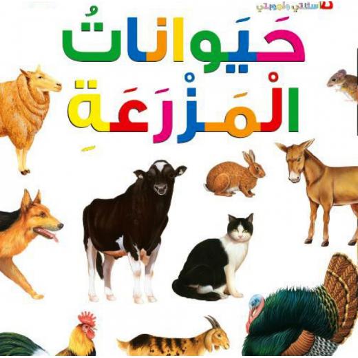 Dar Al Manhal My First Questions And Answers: Farm Animals