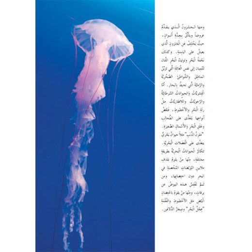 Dar Al Manhal Stories: The Amazing Animals of the World Series: Marine Animals