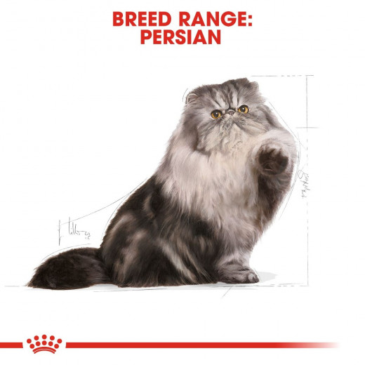 Royal Canin Persian Cat Food, 4 Kg