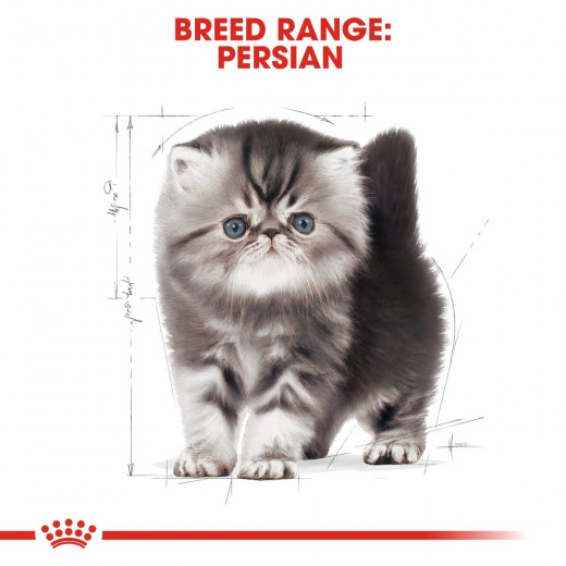 Royal Canin Kitten Persian, Cat Food, 2 Kg