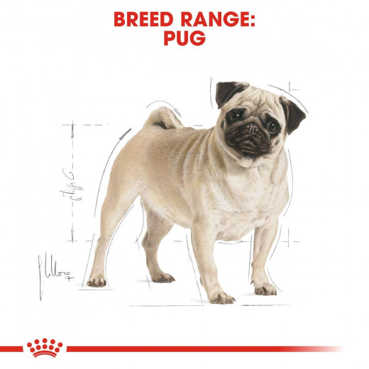 Royal Canin Pug Adult Dog Food, 1.5 Kg