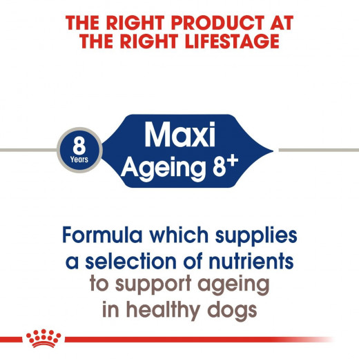 Royal Canin Maxi Food For Dogs Ageing 8+, 15 Kg