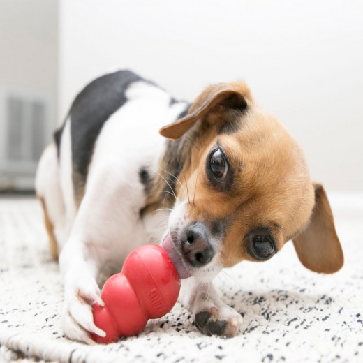 Kong Classic Dog Toy, Red Color, X Small