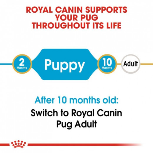 Royal Canin Pug Puppy Dry Dog Food, 1.5 Kg