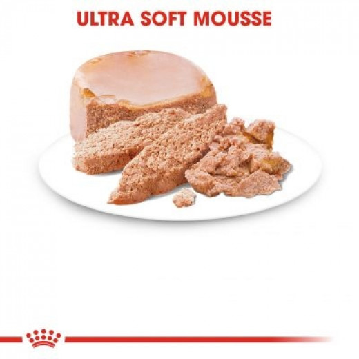 Royal Canin Starter Mouse