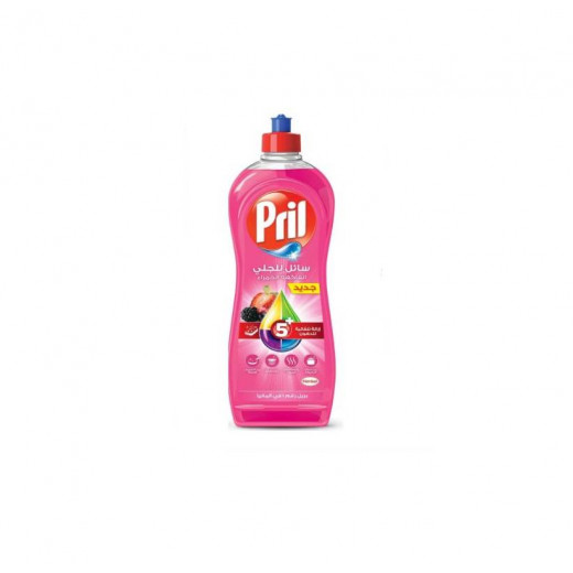 Pril 5 Plus Dishwash Liquid 650 Ml Fruits