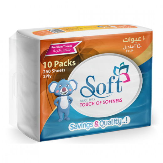 Soft Tissues Nylon Pack, 250 Sheet, 2 Ply, 10 Packs