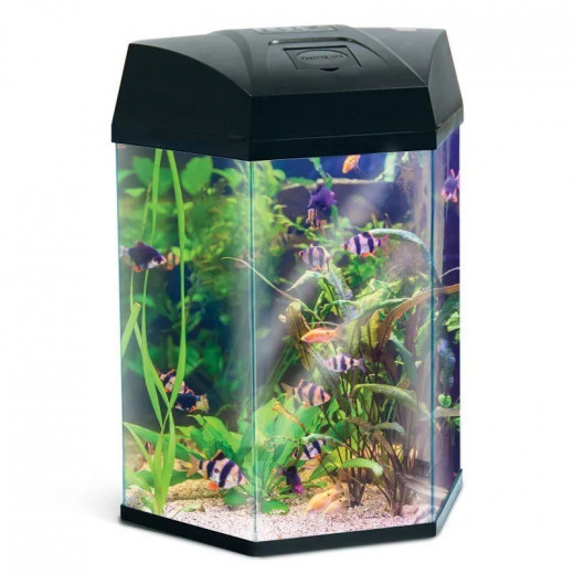 Basic 22 Hexagon Glass Tank With LED Light, Black