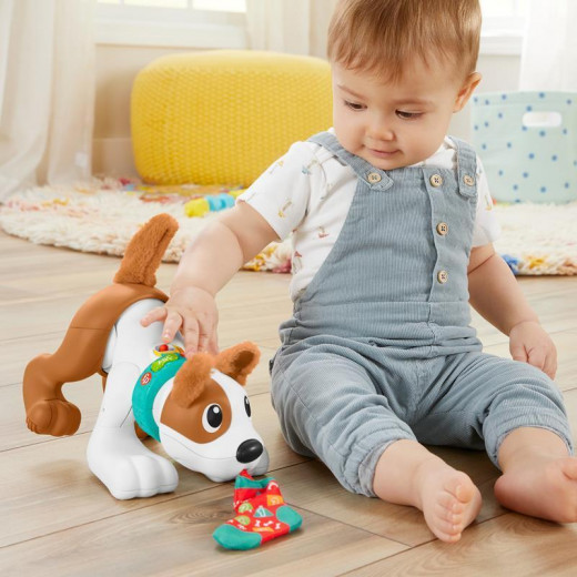 Fisher Price 123 Crawl with Me Puppy