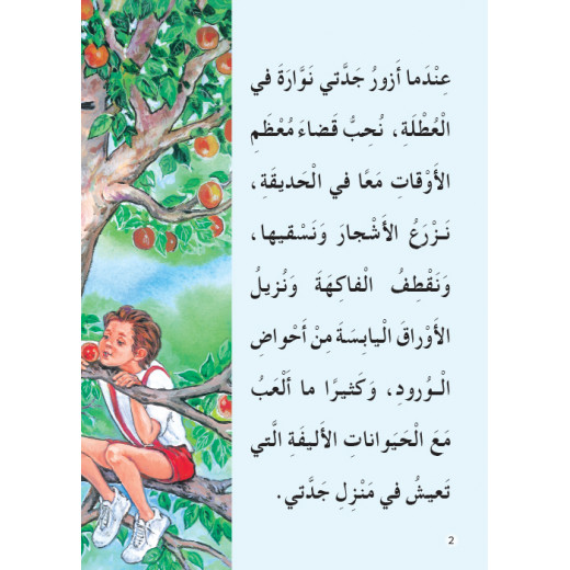 Dar Al Manhal My Grandmother's Brave Donkey Story