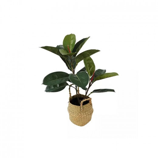 Nova home "Rubber" artificial tree  green 55 cm