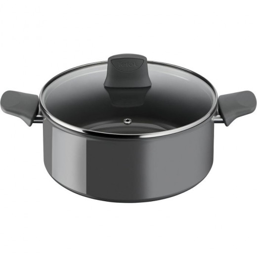 Tefal renewal ceramic stewpot 24