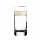 Dimlaj Minerva Set of 6 Pcs Tumblers (Gold & Platinum)