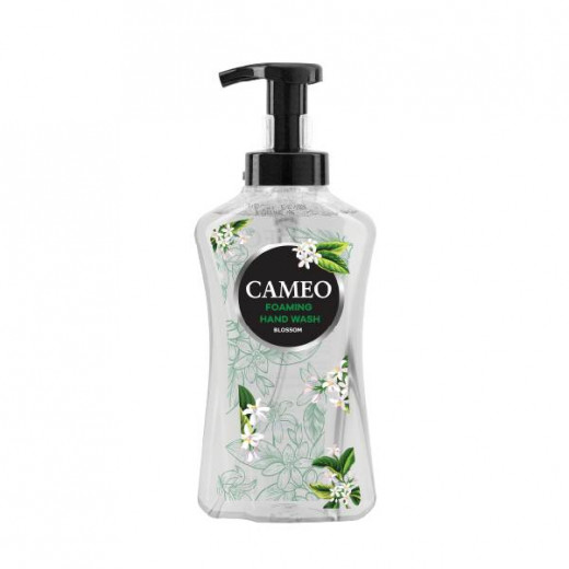 Cameo Foam Hand Wash Liquid, Instant Foam, Blossom Scent, 500 ml