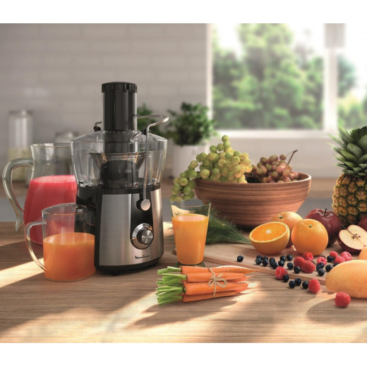 Moulinex Juice Express JU550D10 Blender 800 W 1.4 L 2 Speeds Black/Silver