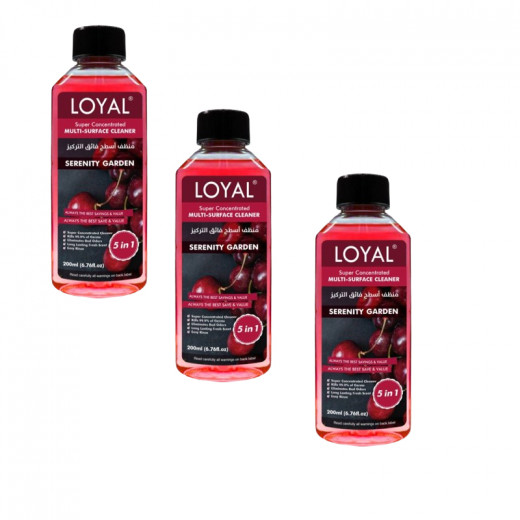 Loyal Super Concentrated, Multi Super Cleaner, Serenity Garden, 3 PACKS