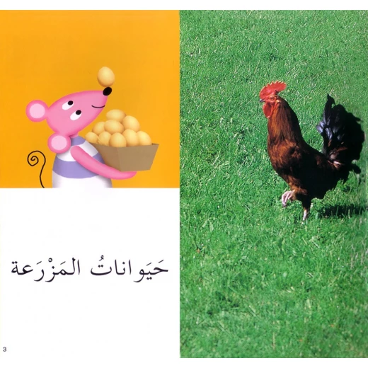 كلماتي المصورة الحيوانات