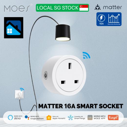 Moes Smart Matter Plug