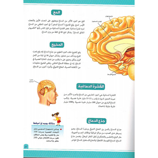 An applied experiment on the nervous system