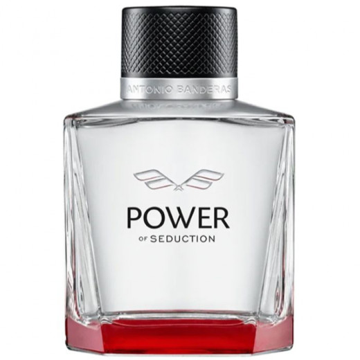 Antonio Banderas Power of Seduction Eau de Toilette for Men 100ml