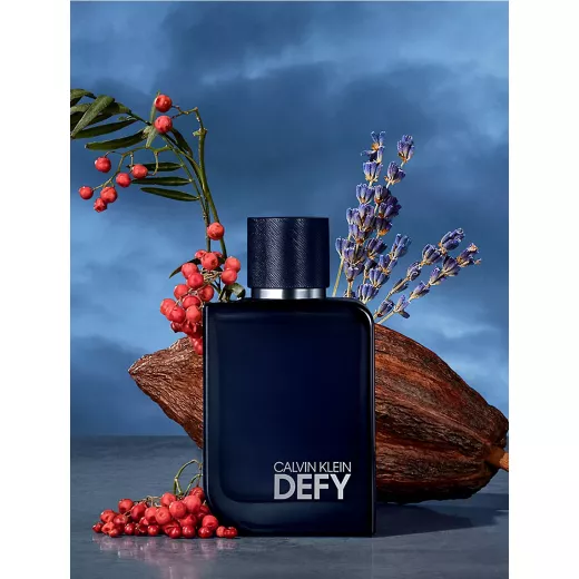 Calvin Klein Defy for Men