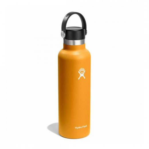 Hydro Flask 621 ml Standard Mouth Flex Cap Clementine Thermo Bottle  Fossil