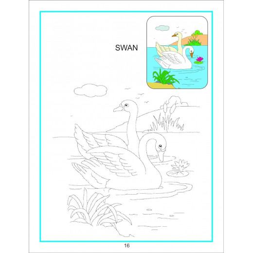 Dreamland | Creative Coloring Book | Water Animals