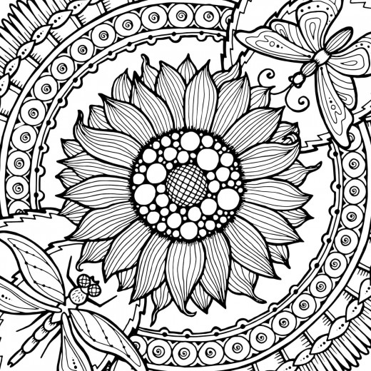 Dreamland | Refreshing Mandala | Coloring Book for Adults