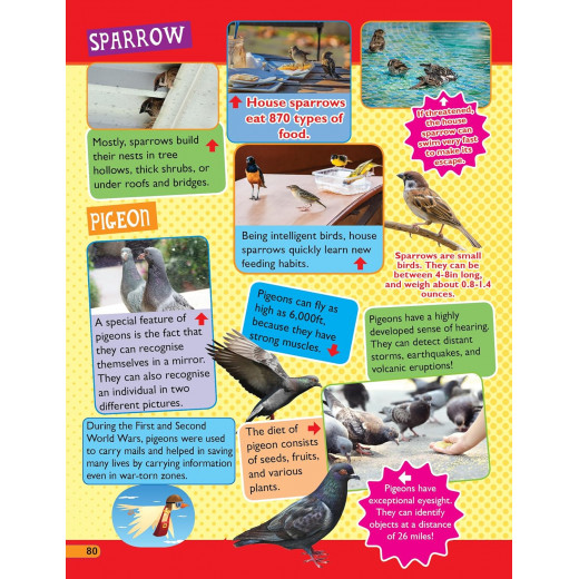 Dreamland 365 Facts on Animals and Birds