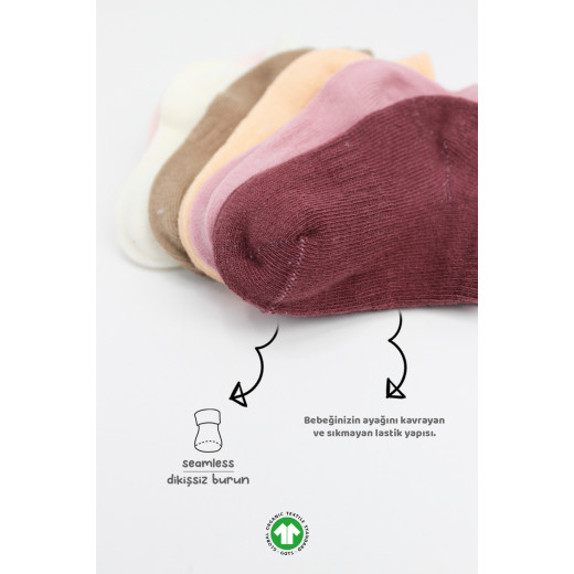 Bistyle 6-Pairs Combed Liner Socks (0-6 m) Colored