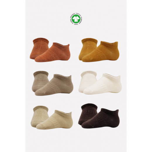 Bistyle 6-Pairs Combed Liner Socks (12-24 m) Colored