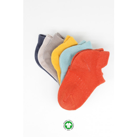 Bistyle 6-Pairs Combed Liner Socks (0-6 m) Colored