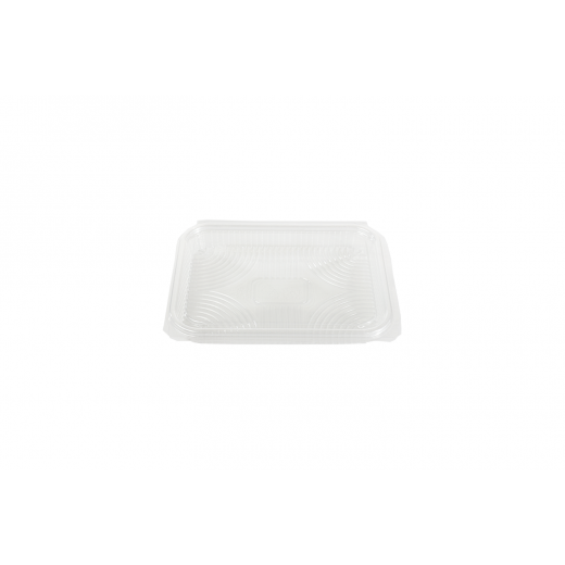 RZ Plastic Containers Rectangle Hinged - 750 cc - 25 PCS