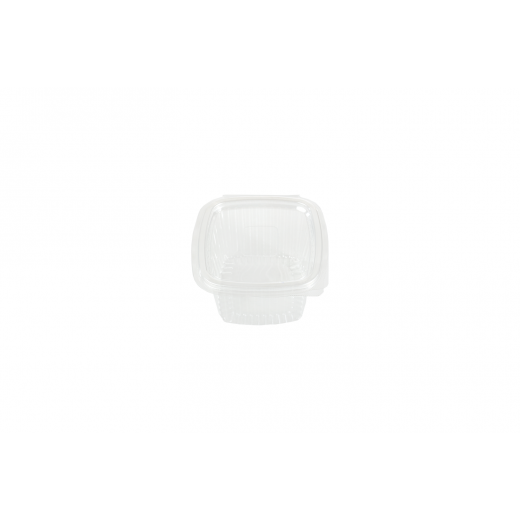 RZ Plastic Containers Rectangle Hinged - 375 cc - 100 PCS